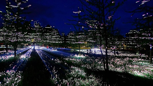Ginkgopark_Lichtkunst_4.JPG 