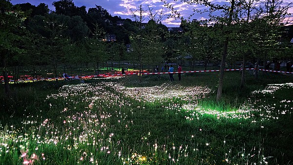 Lichtkunst_im_GinkgoPark___5_.jpg 