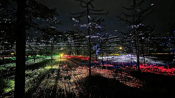 Lichtkunst_im_GinkgoPark___3_.jpg 