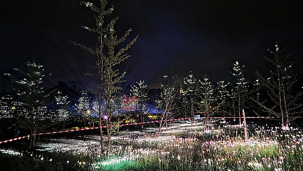 Lichtkunst_im_GinkgoPark___2_.jpg 