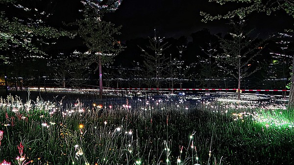 Lichtkunst_im_GinkgoPark___10_.jpg 