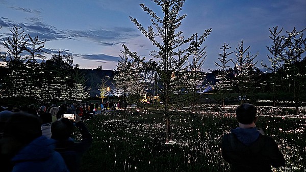 Lichtkunst_im_GinkgoPark___7_.jpg 
